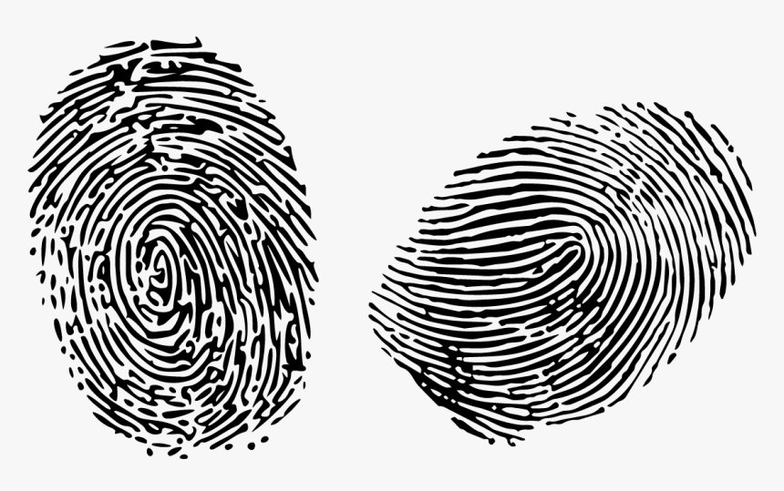 Detail Fingerprint Transparent Png Nomer 21