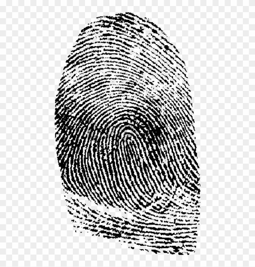 Detail Fingerprint Transparent Png Nomer 27