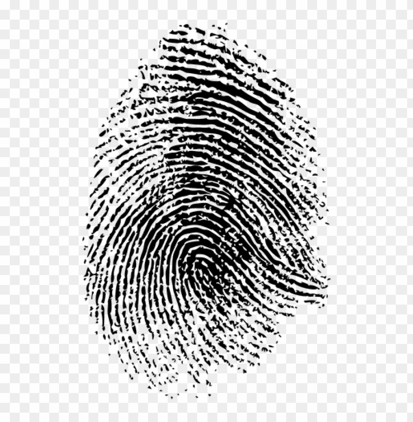 Detail Fingerprint Transparent Png Nomer 5