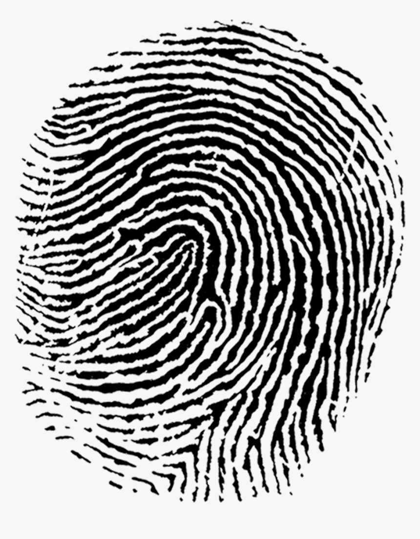 Detail Fingerprint Vector Png Nomer 2