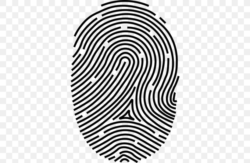 Detail Fingerprint Vector Png Nomer 16