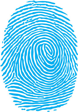 Detail Fingerprint Vector Png Nomer 18