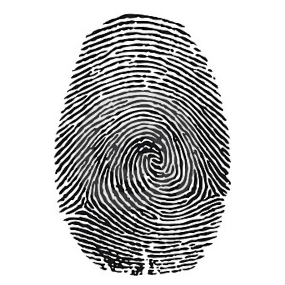 Detail Fingerprint Vector Png Nomer 22