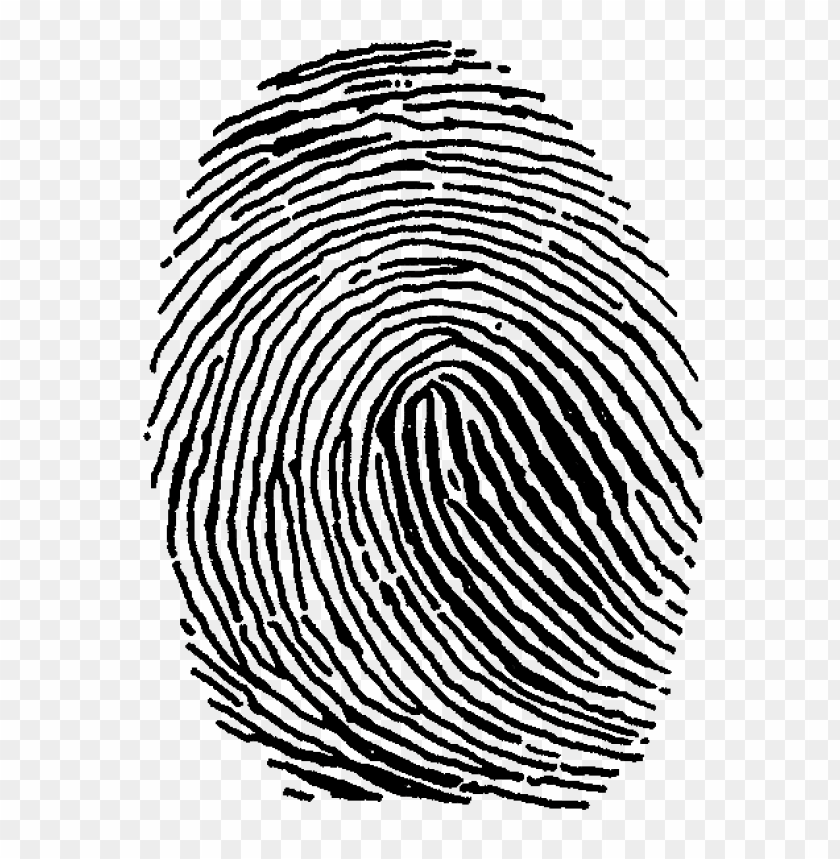 Detail Fingerprint Vector Png Nomer 35