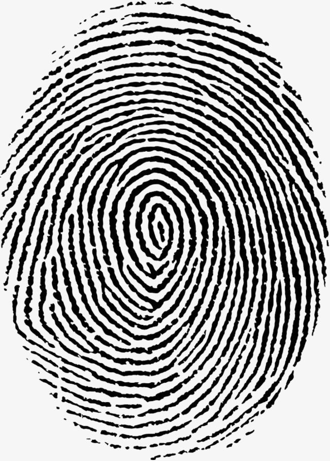 Detail Fingerprint Vector Png Nomer 5