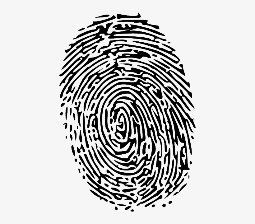 Detail Fingerprint Vector Png Nomer 9