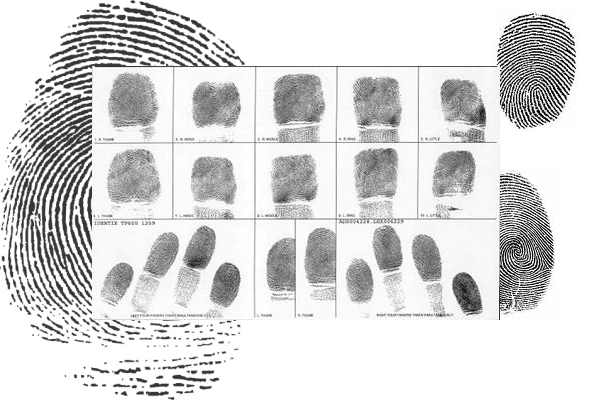 Detail Fingerprints Pics Nomer 22