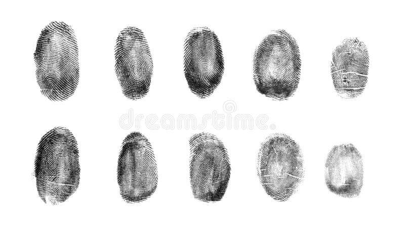 Detail Fingerprints Pics Nomer 29