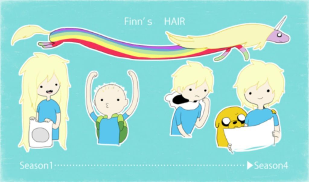 Detail Finn The Human Hair Nomer 16