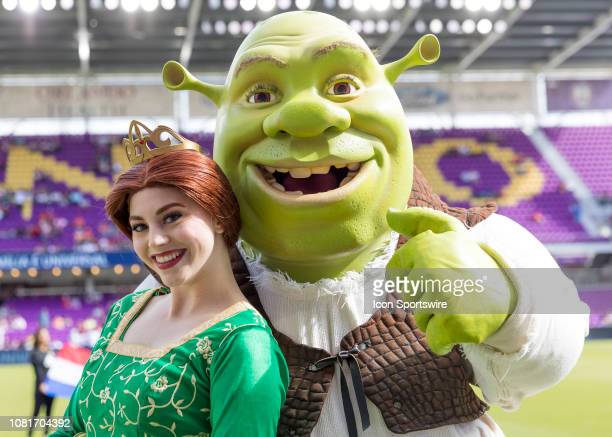 Detail Fiona Shrek Pictures Nomer 36