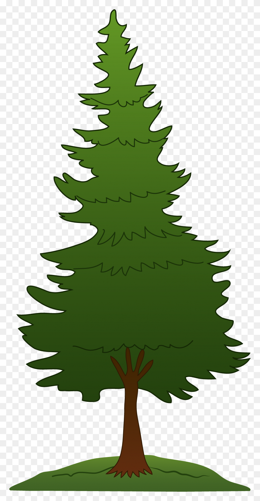 Detail Fir Tree Clip Art Nomer 11