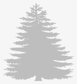 Detail Fir Tree Clipart Nomer 44