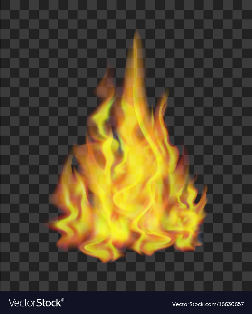 Download Fire Clear Background Nomer 19