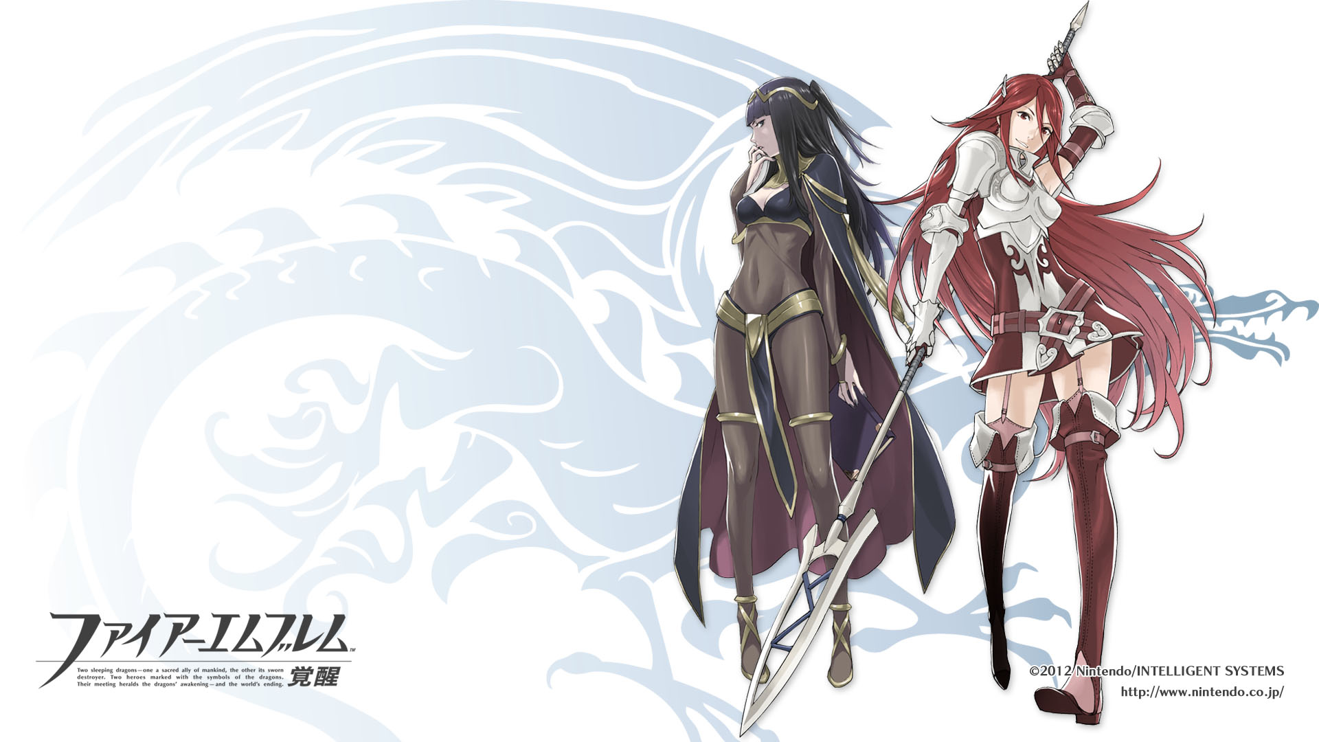 Detail Fire Emblem Awakening Wallpaper Nomer 46