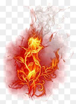 Detail Fire Flower Png Nomer 11