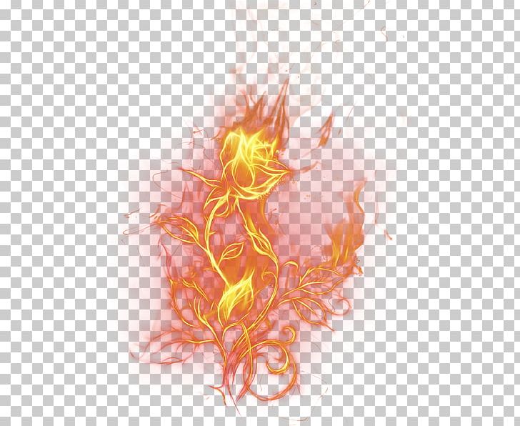 Detail Fire Flower Png Nomer 37