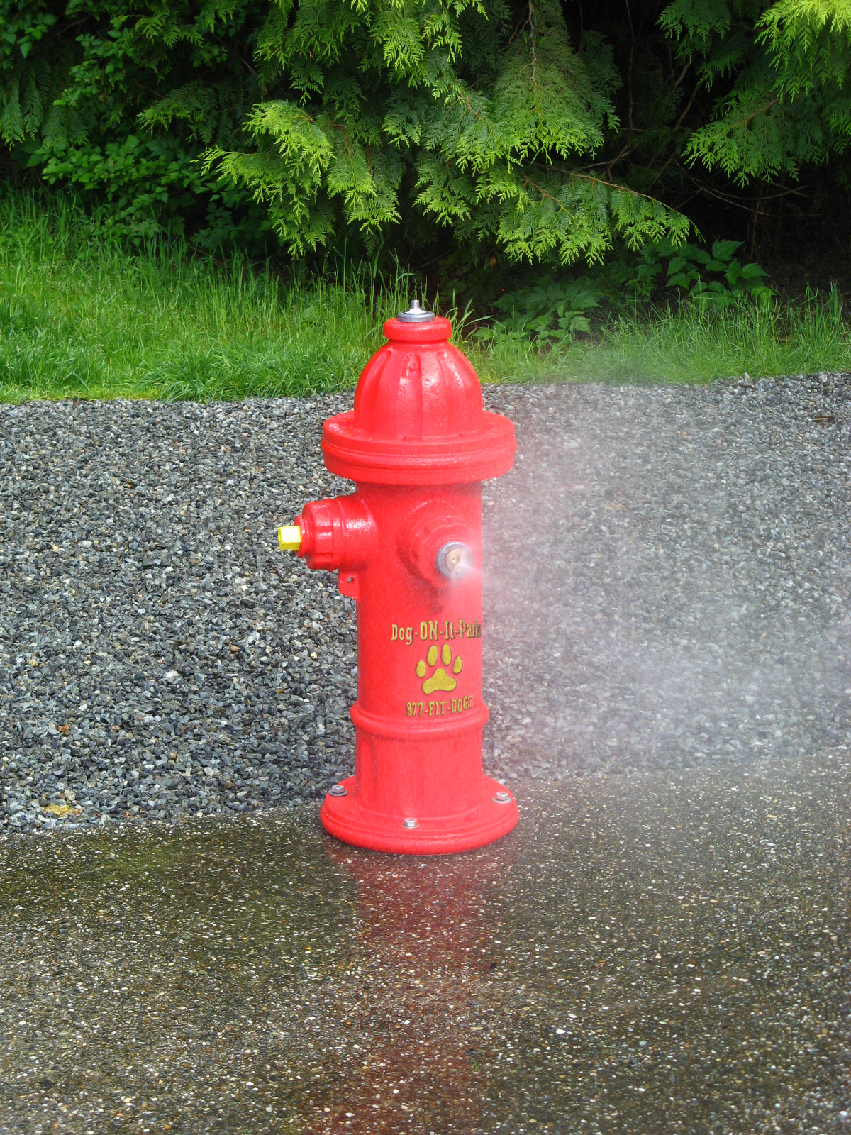 Detail Fire Hydrant Fountain Kit Nomer 2