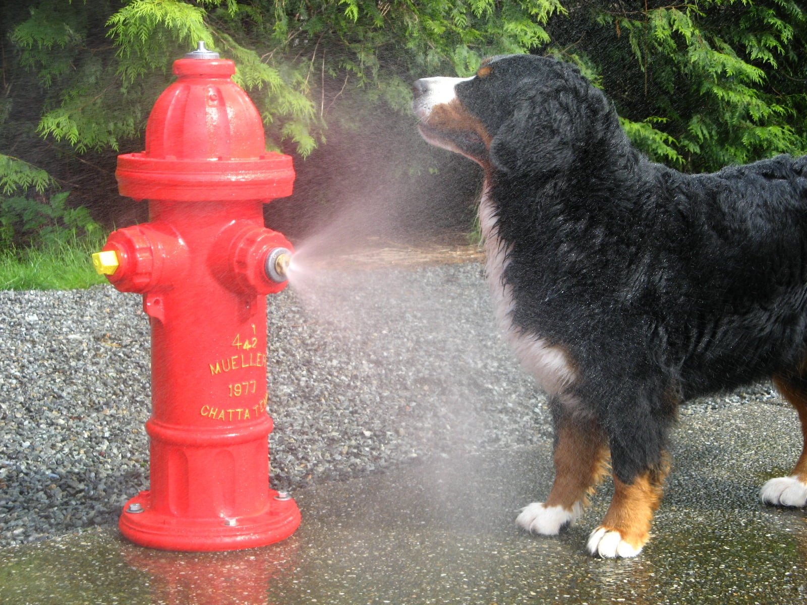Detail Fire Hydrant Fountain Kit Nomer 35