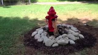 Detail Fire Hydrant Fountain Kit Nomer 7