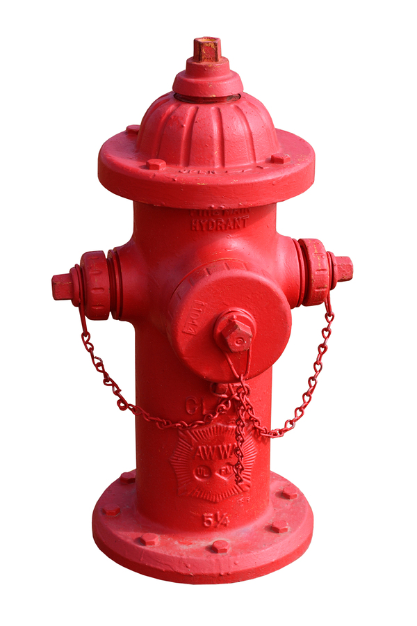 Detail Fire Hydrant Image Nomer 3