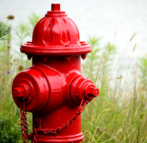 Detail Fire Hydrant Image Nomer 24