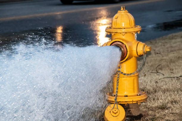 Detail Fire Hydrant Image Nomer 4