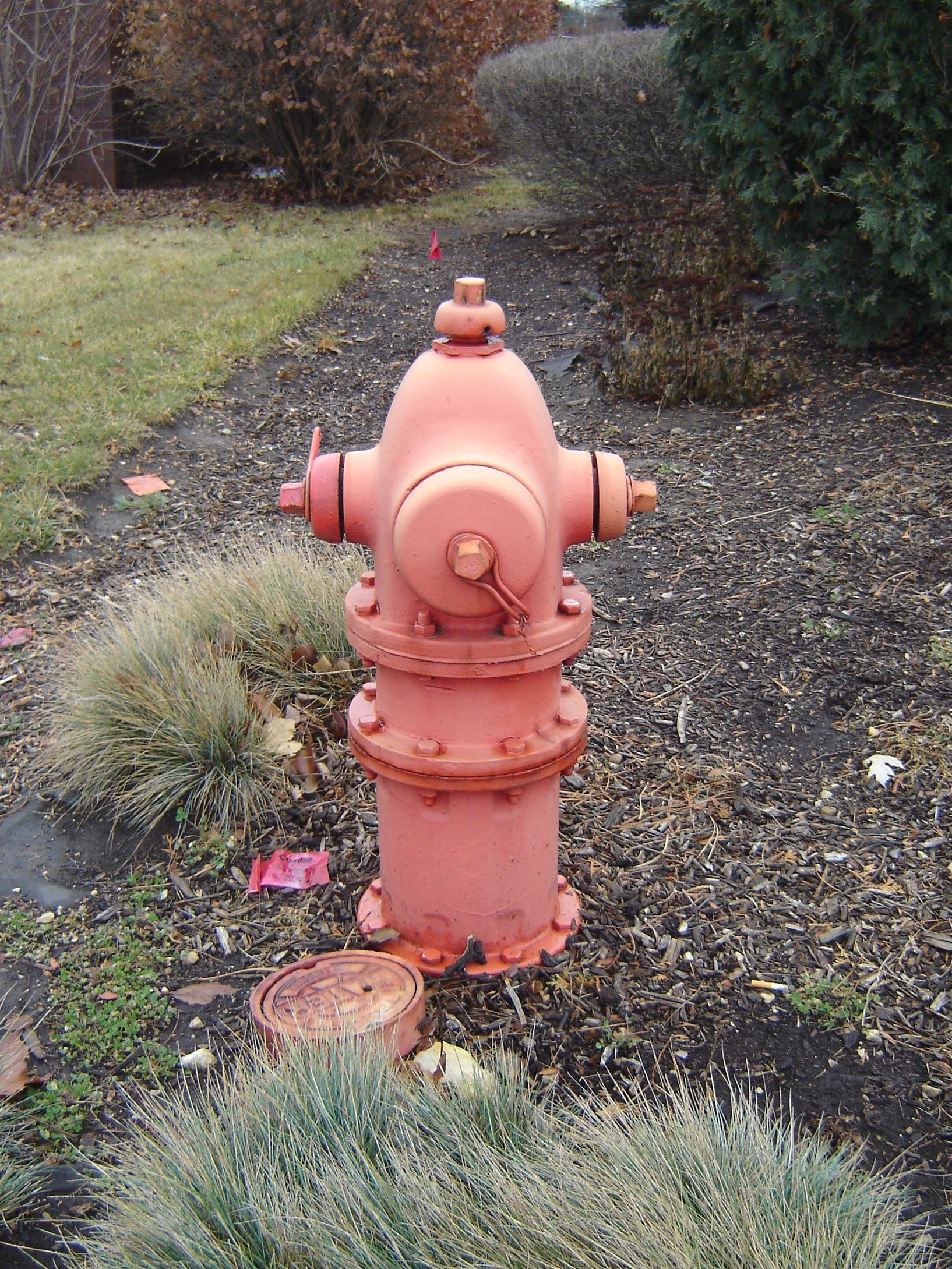 Detail Fire Hydrant Image Nomer 5