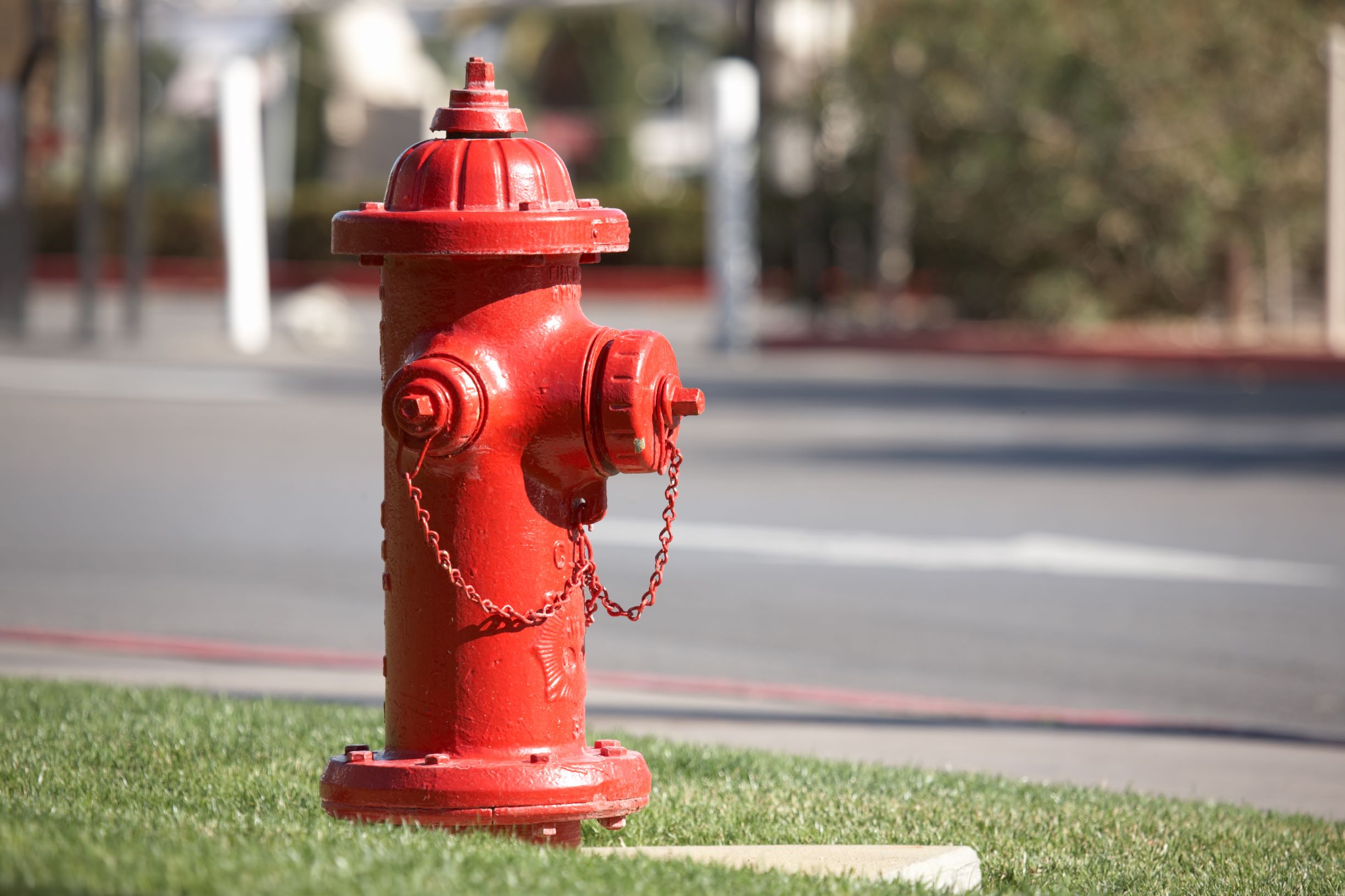 Detail Fire Hydrant Image Nomer 6