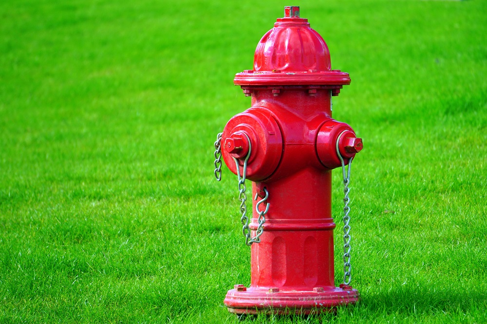 Detail Fire Hydrant Image Nomer 45