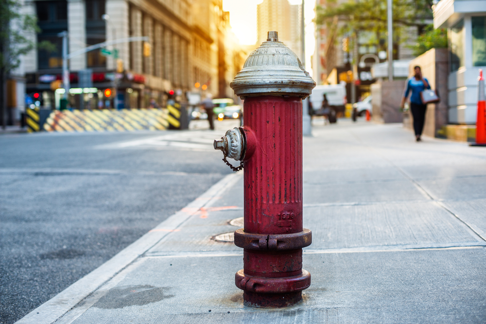 Detail Fire Hydrant Image Nomer 49