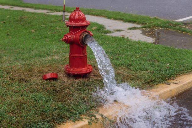 Detail Fire Hydrant Images Nomer 53