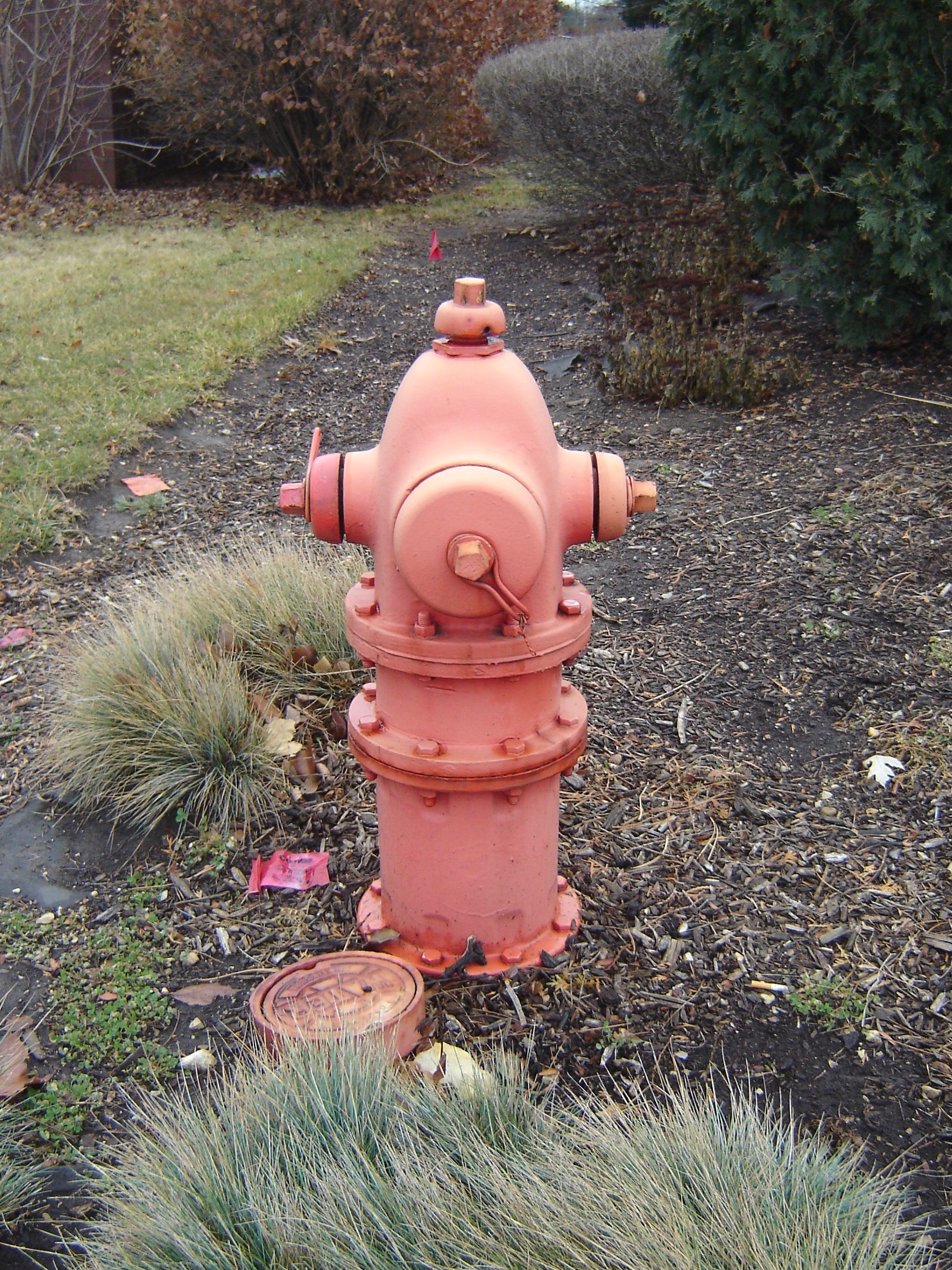 Detail Fire Hydrant Steamer Nomer 22