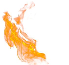 Detail Fire Ong Nomer 9