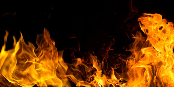 Detail Fire Ong Nomer 26