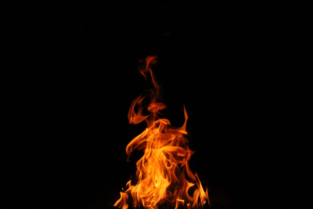 Detail Fire Ong Nomer 40