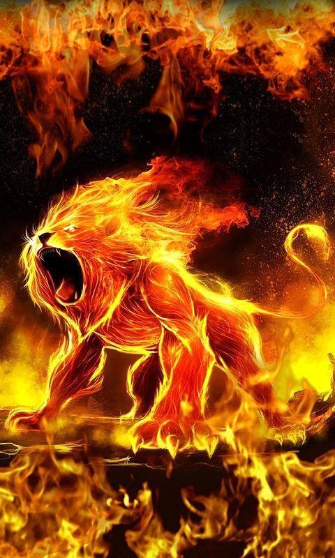 Detail Fire Wallpaper Hd Nomer 31