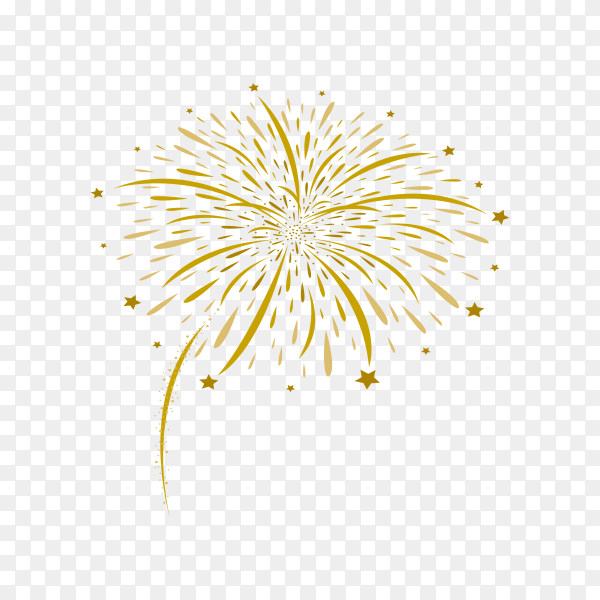 Detail Fire Work Png Nomer 28