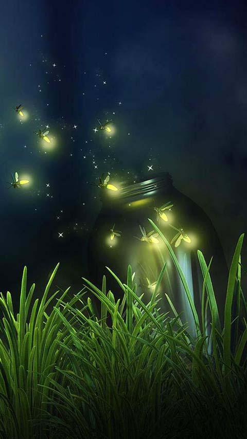 Detail Fireflies Wallpaper Nomer 15