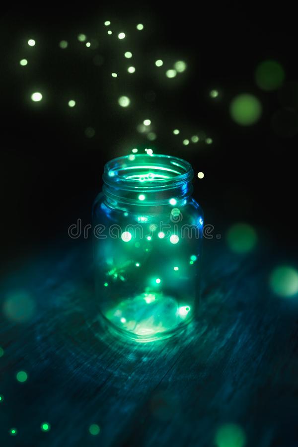 Detail Fireflies Wallpaper Nomer 25