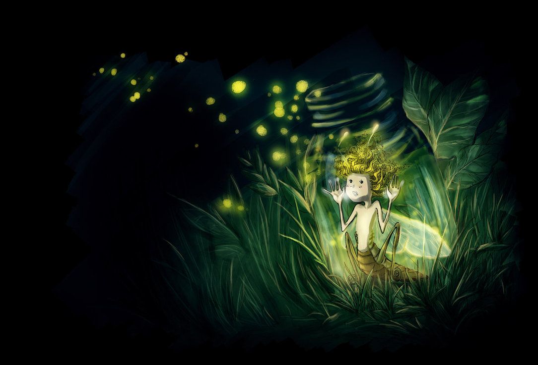 Detail Fireflies Wallpaper Nomer 40