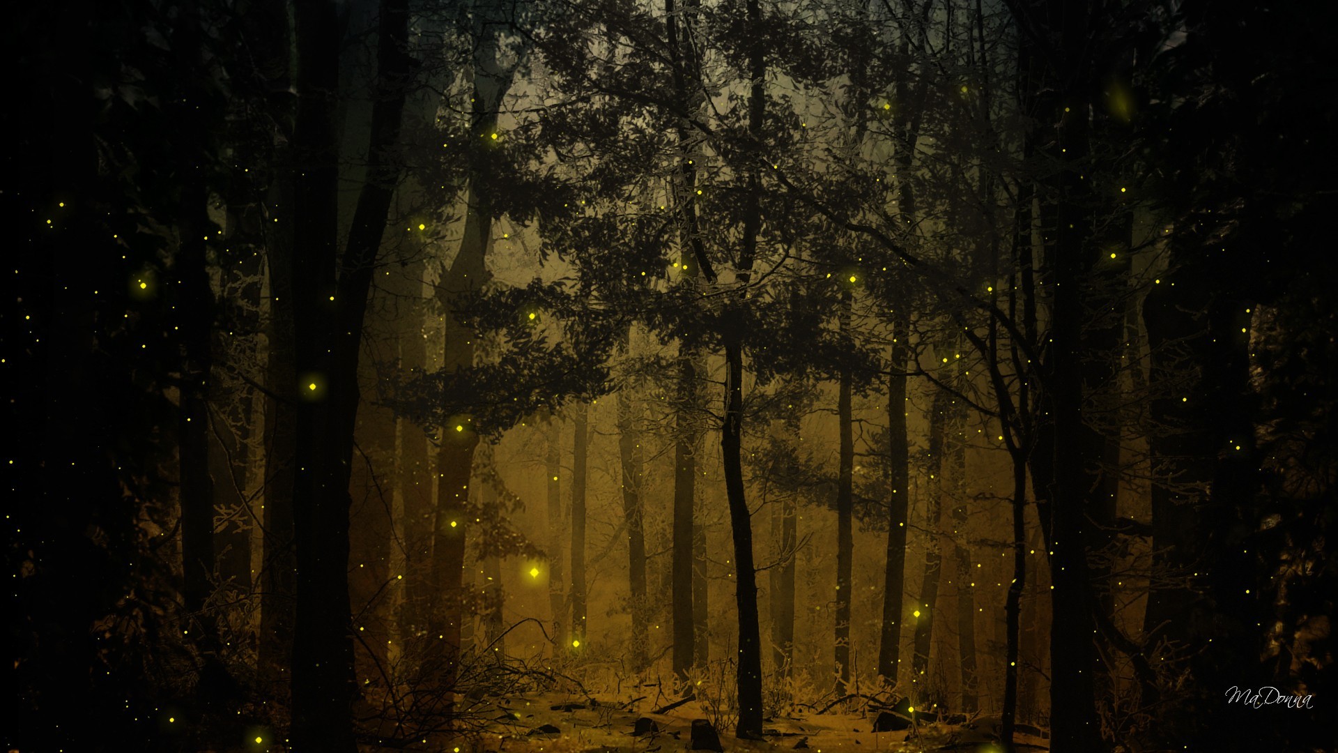 Detail Fireflies Wallpaper Nomer 45