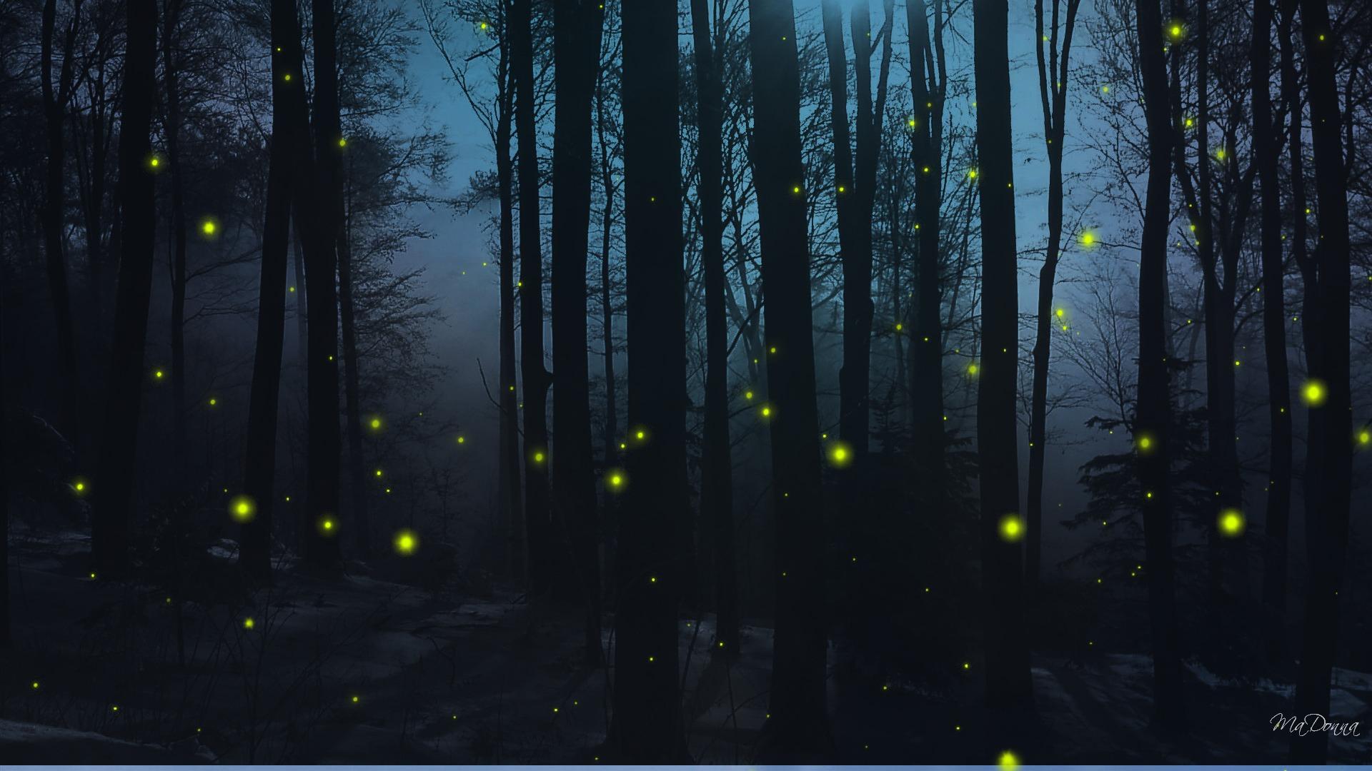 Detail Fireflies Wallpaper Nomer 10