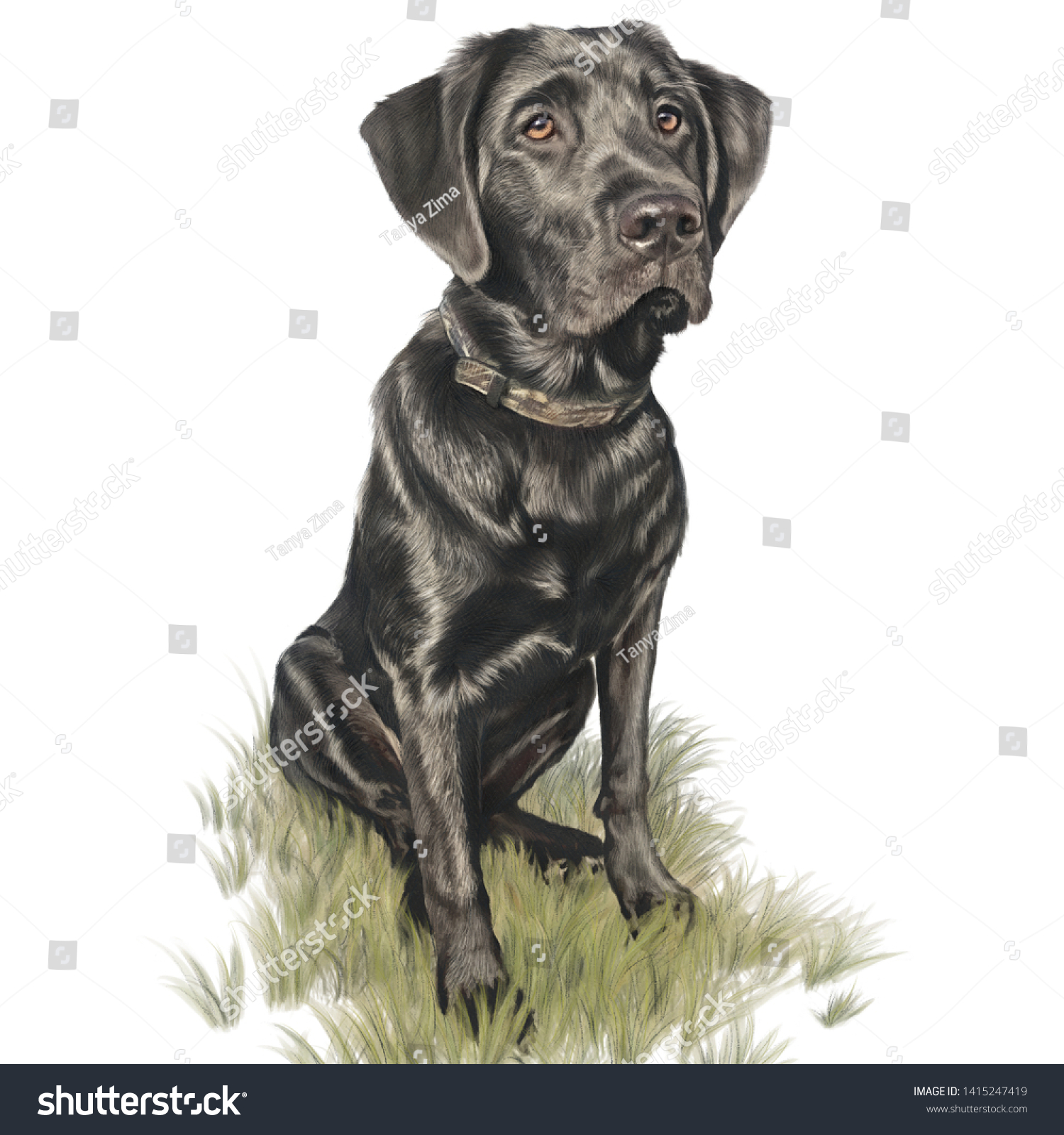 Detail Firefox Labrador Retriever Nomer 22