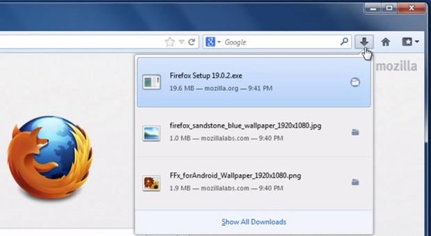 Detail Firefox Pic Downloader Nomer 5