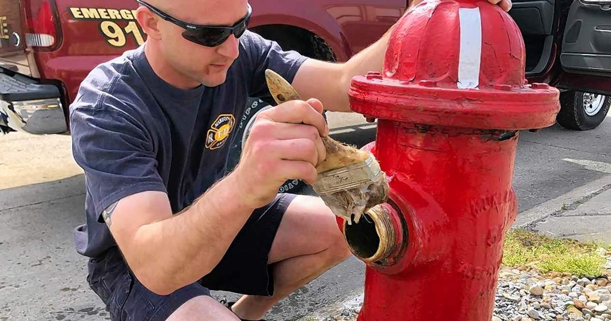 Detail Firehydrant Io Nomer 46