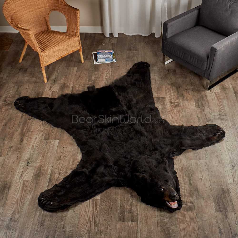 Detail Fireplace Bear Skin Rug Nomer 16