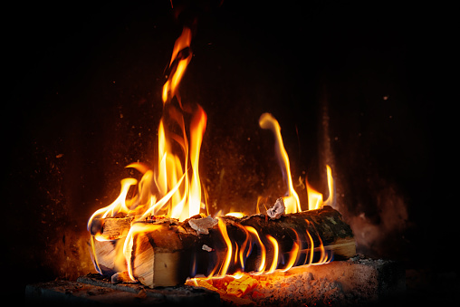 Detail Fireplace Downloads Free Nomer 4