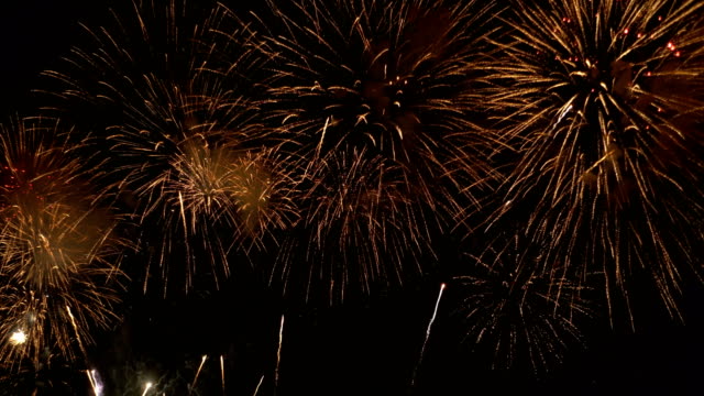 Detail Firework Download Free Nomer 18