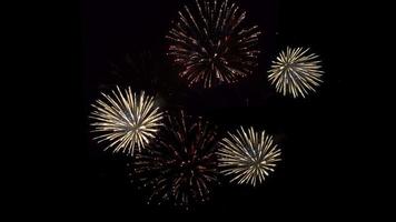 Detail Firework Downloads Nomer 26