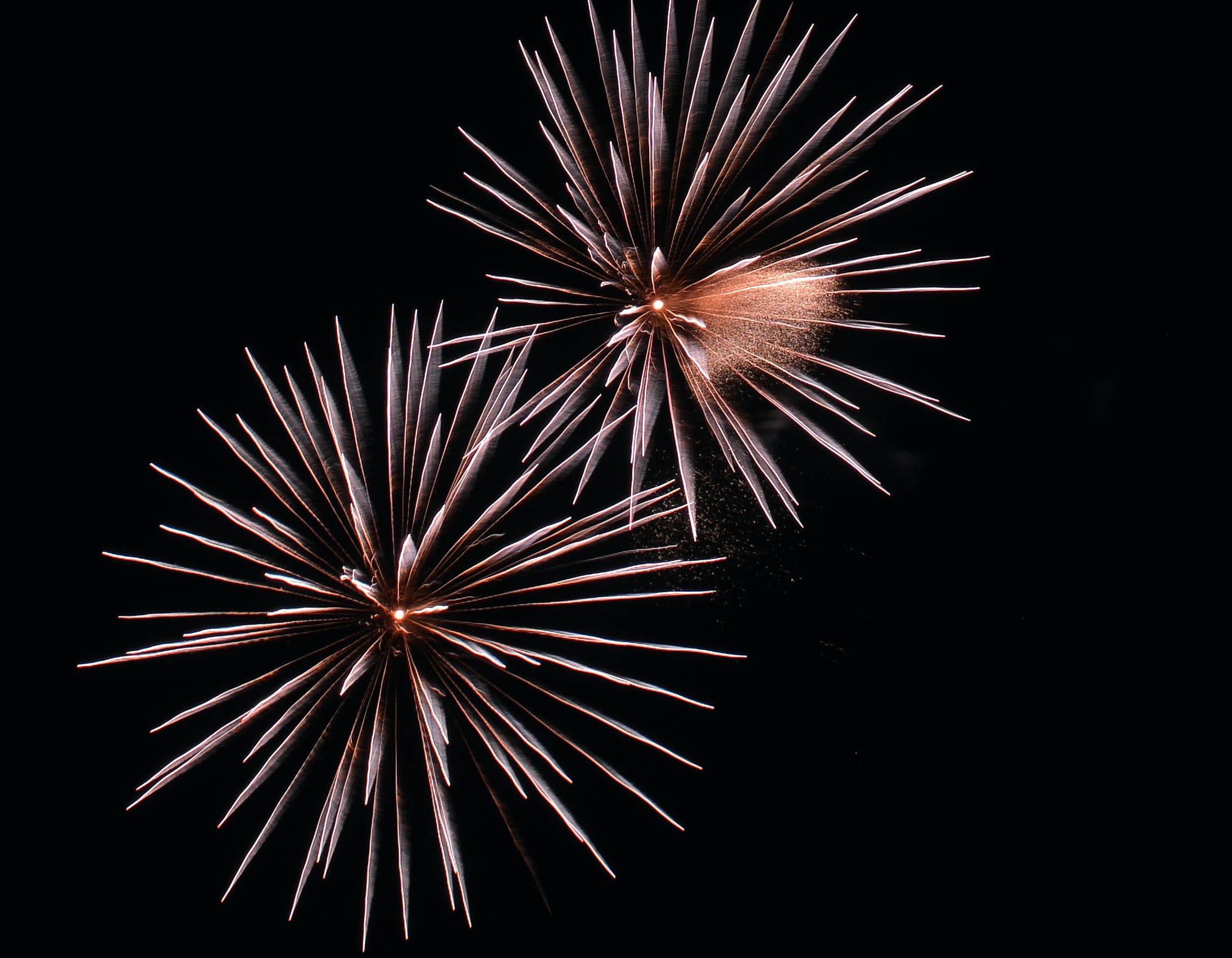 Detail Firework Free Image Nomer 24